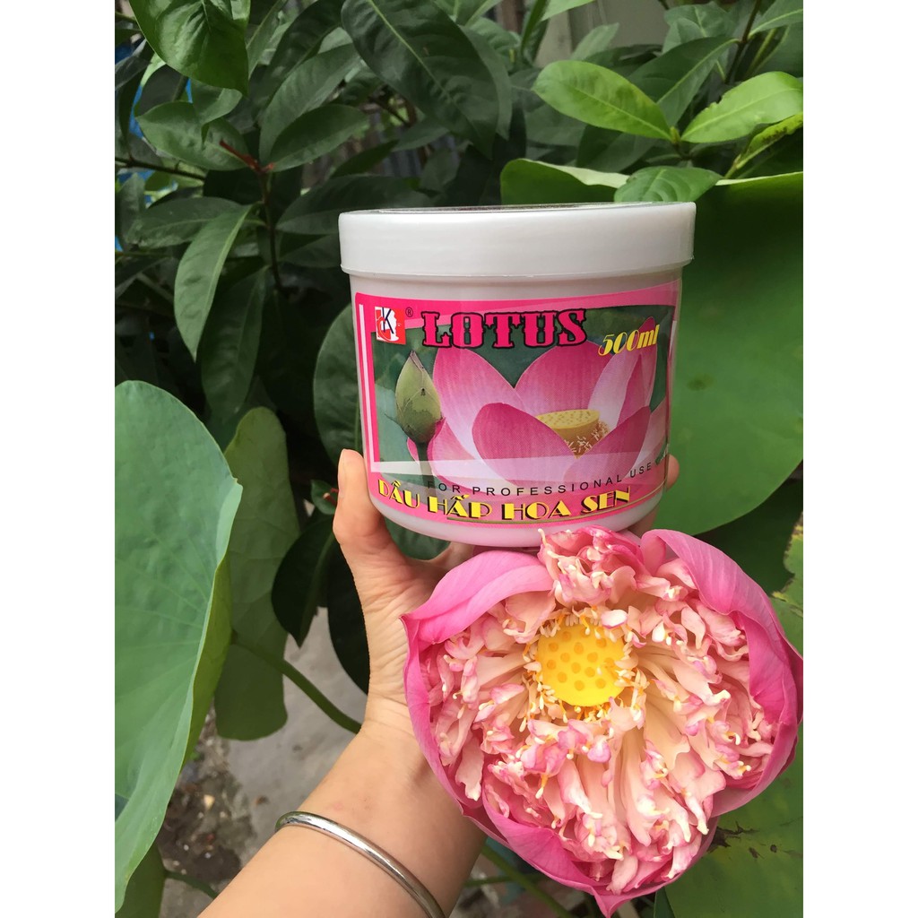 Hấp dầu dưỡng tóc Hoa Sen 500 ml