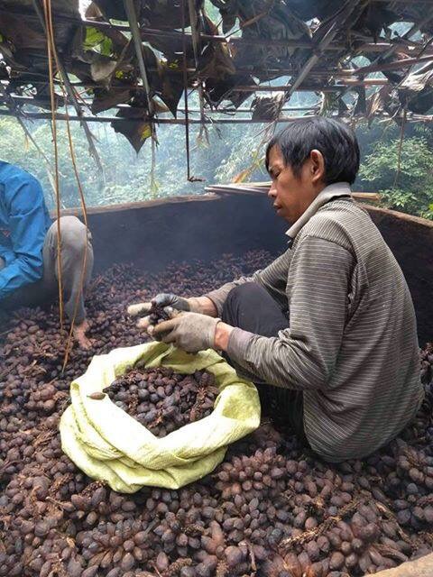 1kg. Thảo quả sạch (quả tò ho) gia vị cho phở và các món ăn ngon | BigBuy360 - bigbuy360.vn