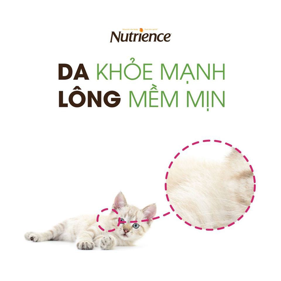 Hạt Nutrience SubZero Cho Mèo Mọi Độ Tuổi (Nhập khẩu Canada)