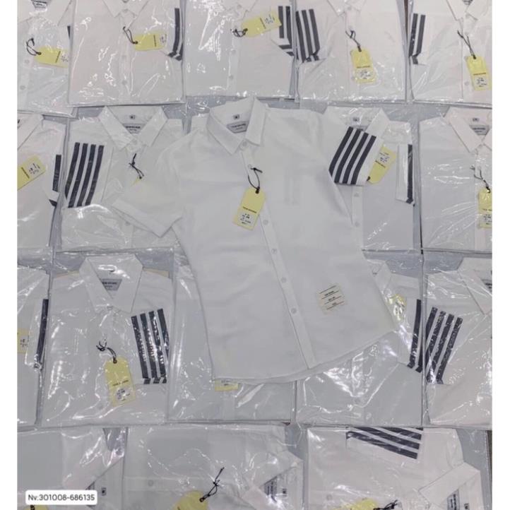 [XẢ KHO] Sơ Mi Thom Browne , Áo Sơ Mi 3 Sọc Thom Browne Cộc Tay Hot Cao Cấp Ảnh Thật(Hàng Sẵn)