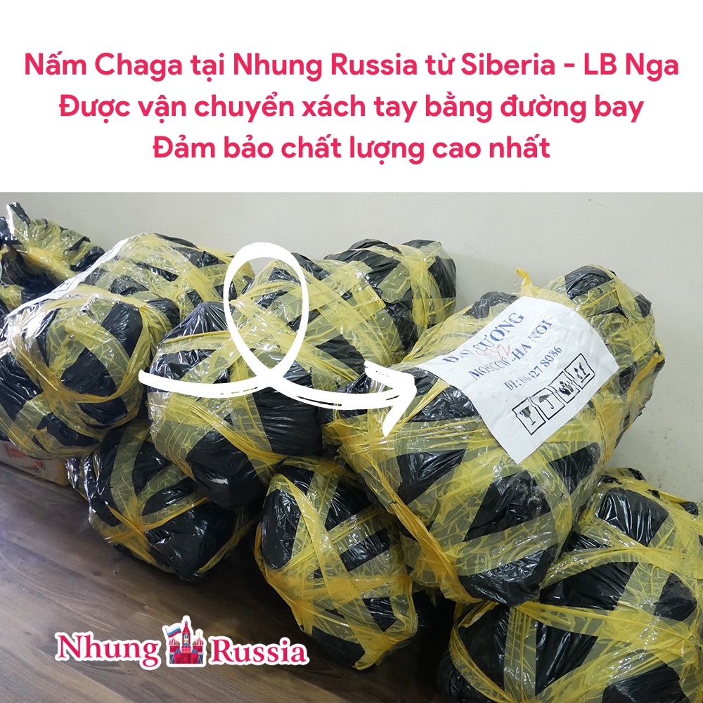 Nấm Chaga của Nga Loại 1