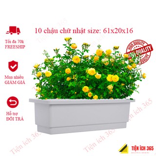 Sét 10 chậu dài 61 rộng 20 cao 16