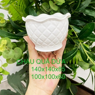 CHẬU NHỰA SEN ĐÁ