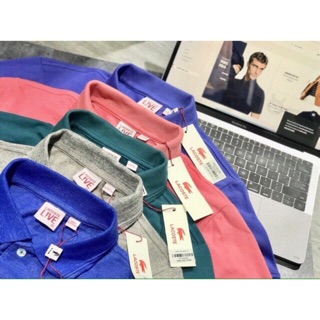 Áo Polo Lacoste xịn