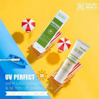 KCN Bơ Nghệ Cỏ cây Hoa lá