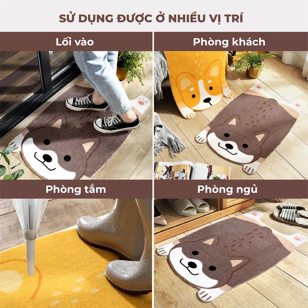 Thảm lau chân thấm nước 3D fesson, Thảm chùi chân chống trượt lông cừu cao cấp 40x60cm