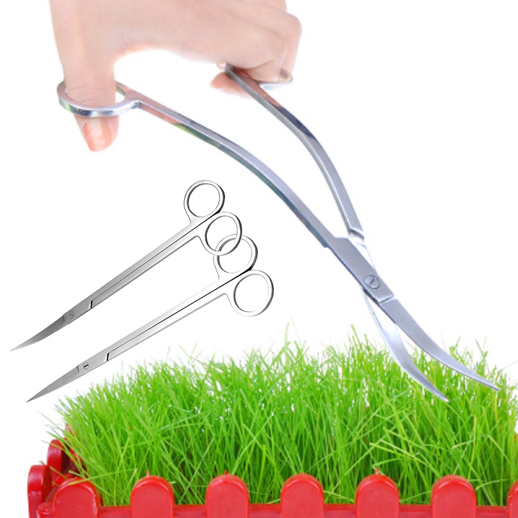 Kéo Cắt Cây Thủy Sinh Bể Cá Chuyên Nghiệp Kích Thước 25cm