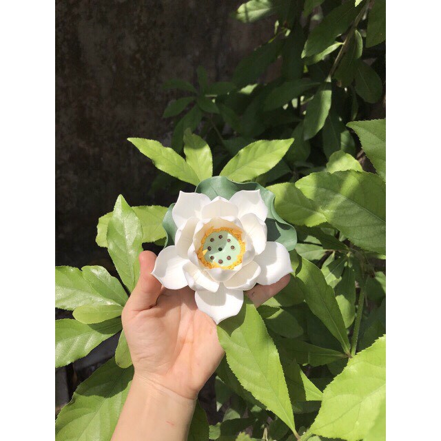 Hoa sen sứ thả hoa | BigBuy360 - bigbuy360.vn