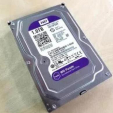 Ổ cứng HDD Western 2TB tím mới - chuyên dùng cho camera