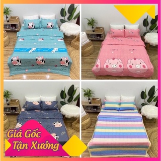 Bộ chăn hè trần bông ga gối 5 món poly cotton hàng loại 1 được chọn mẫu