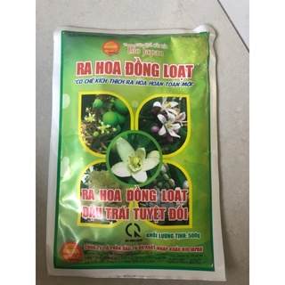 Ra hoa đồng loạt quả cầu lửa 500gr