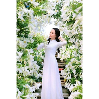 Bộ áo dài trắng học sinh cổ truyền thống