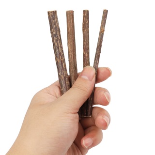 CÂY GỖ CATNIP SẠCH RĂNG CHO MÈO 5 CÂY