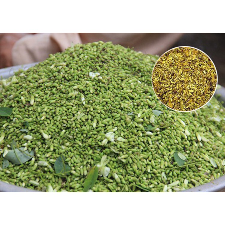 Trà Hoa Hòe - 40 Túi lọc, Thanh Nhiệt, Ổn Định Huyết Áp