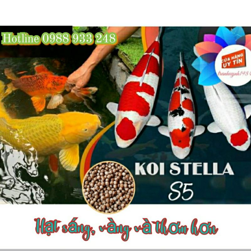 Cám cá Koi Stella S5| 1Kg