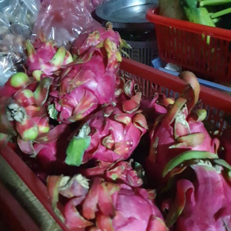 thanh long ruột  đỏ combo 5kg