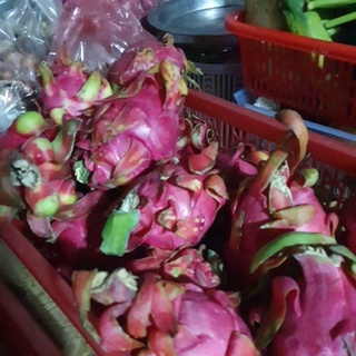 Thanh long ruột đỏ combo 5kg