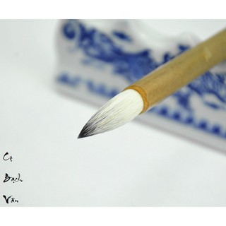 🌼Cọ Bạch Vân (Gia Kiện)🌼