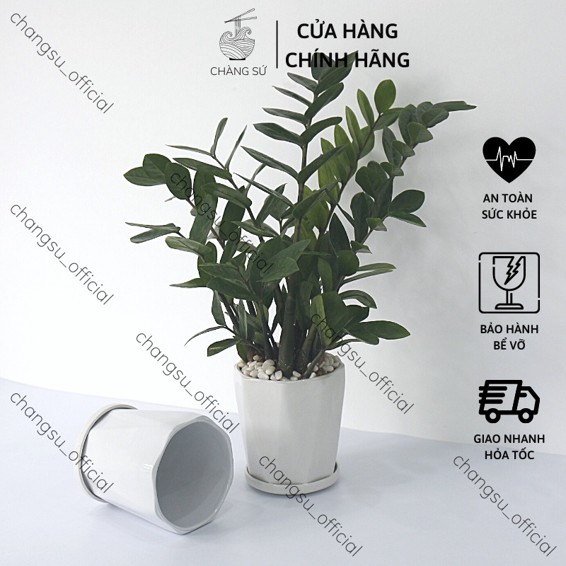 Chậu trồng cây cảnh mini để bàn decor - Chậu hoa sứ trồng sen đá, xương rồng, bonsai trang trí ban công - Vỡ 1 đổi 1
