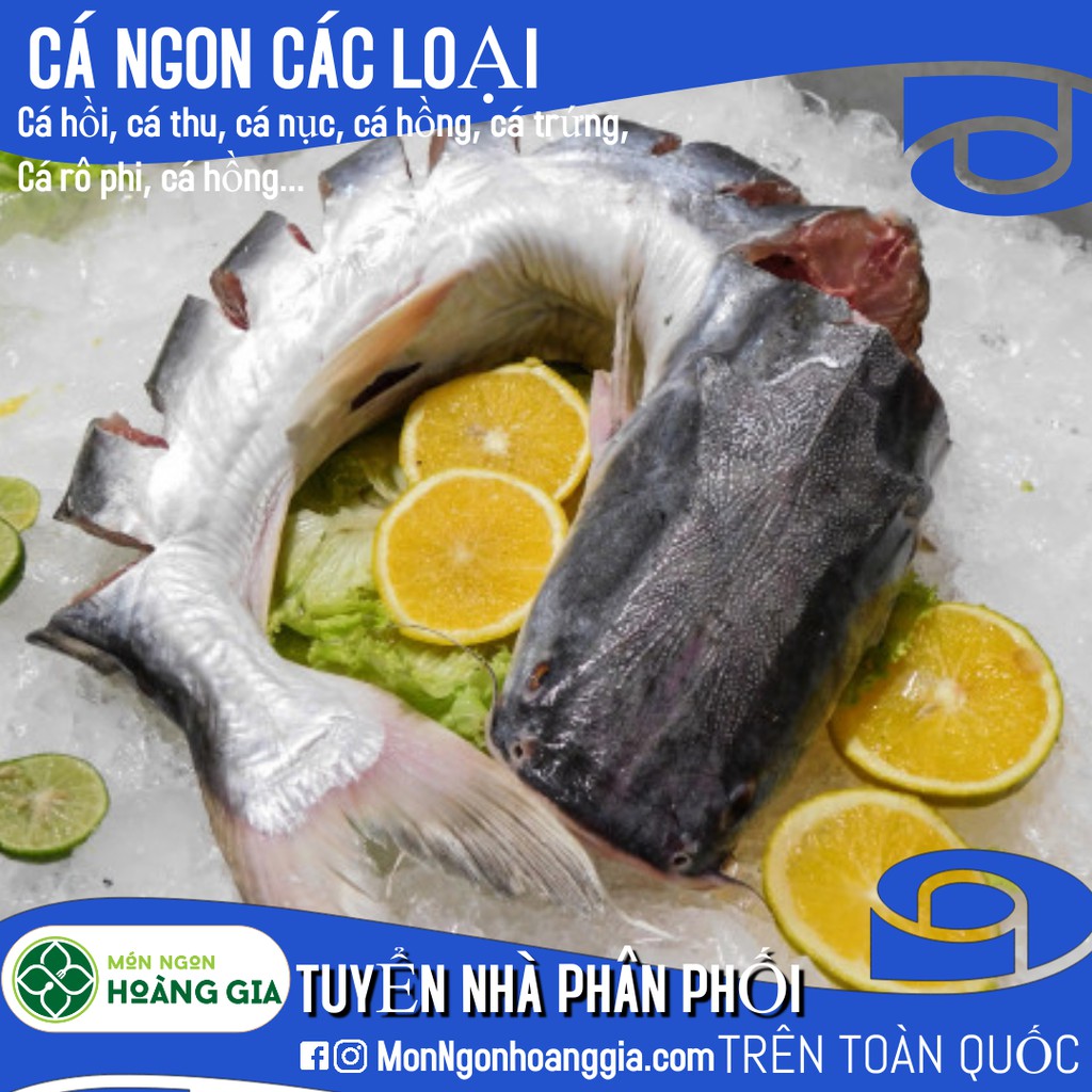 Cá basa fille 1kg HOÀNG GIA - Món ngon hảo hạng từ cá Giàu dinh dưỡng