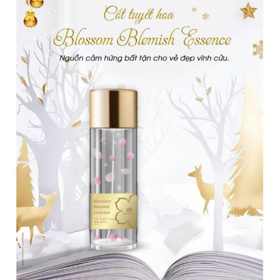 CỐT TUYẾT HOA MAGIC SKIN BLOSSOM BLEMISH ESENCE