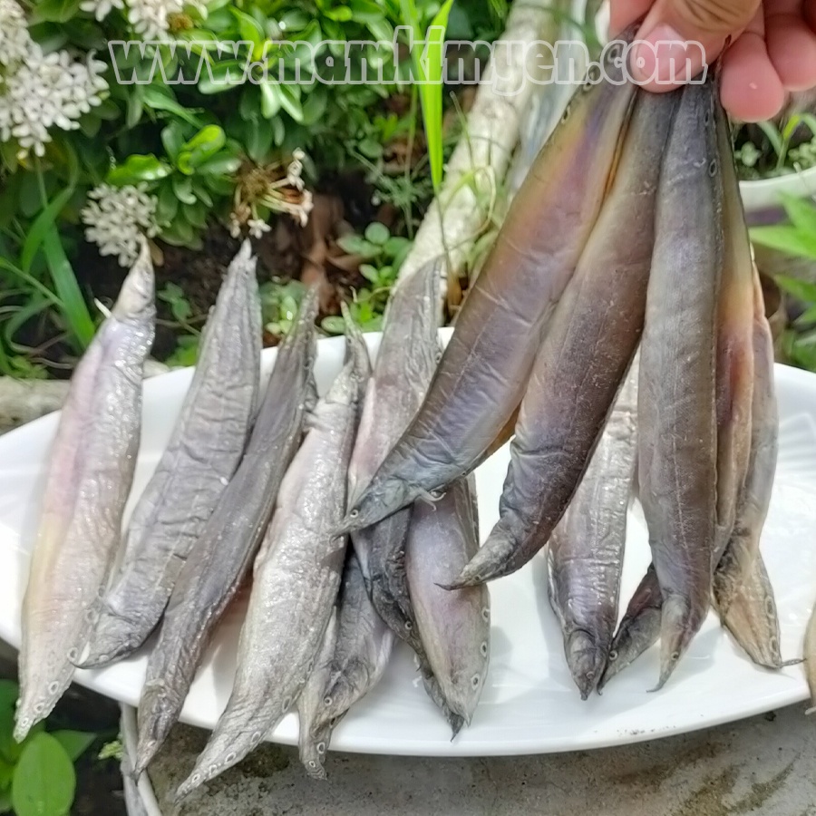 500gr Khô Cá Trạch Đồng Châu Đốc Loại Con To Ướp Gia Vị Vừa Ăn Hàng 2 Nắng Không có đánh giá