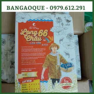 Túi 5kg gạo st25 long châu 66 lúa tôm cỏ may hút chân không