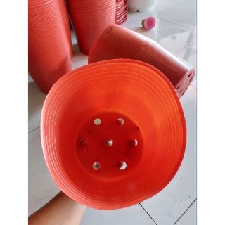 combo 100 chậu c9 đỏ liên an