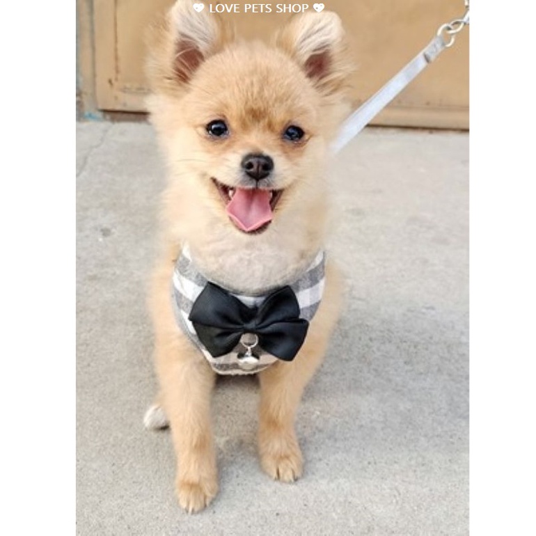 BỘ DÂY DẮT CHÓ MÈO KÈM YẾM SỌC CARO DỄ THƯƠNG - LOVE PETS SHOP