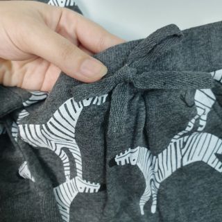 Bộ ngựa vằn Next