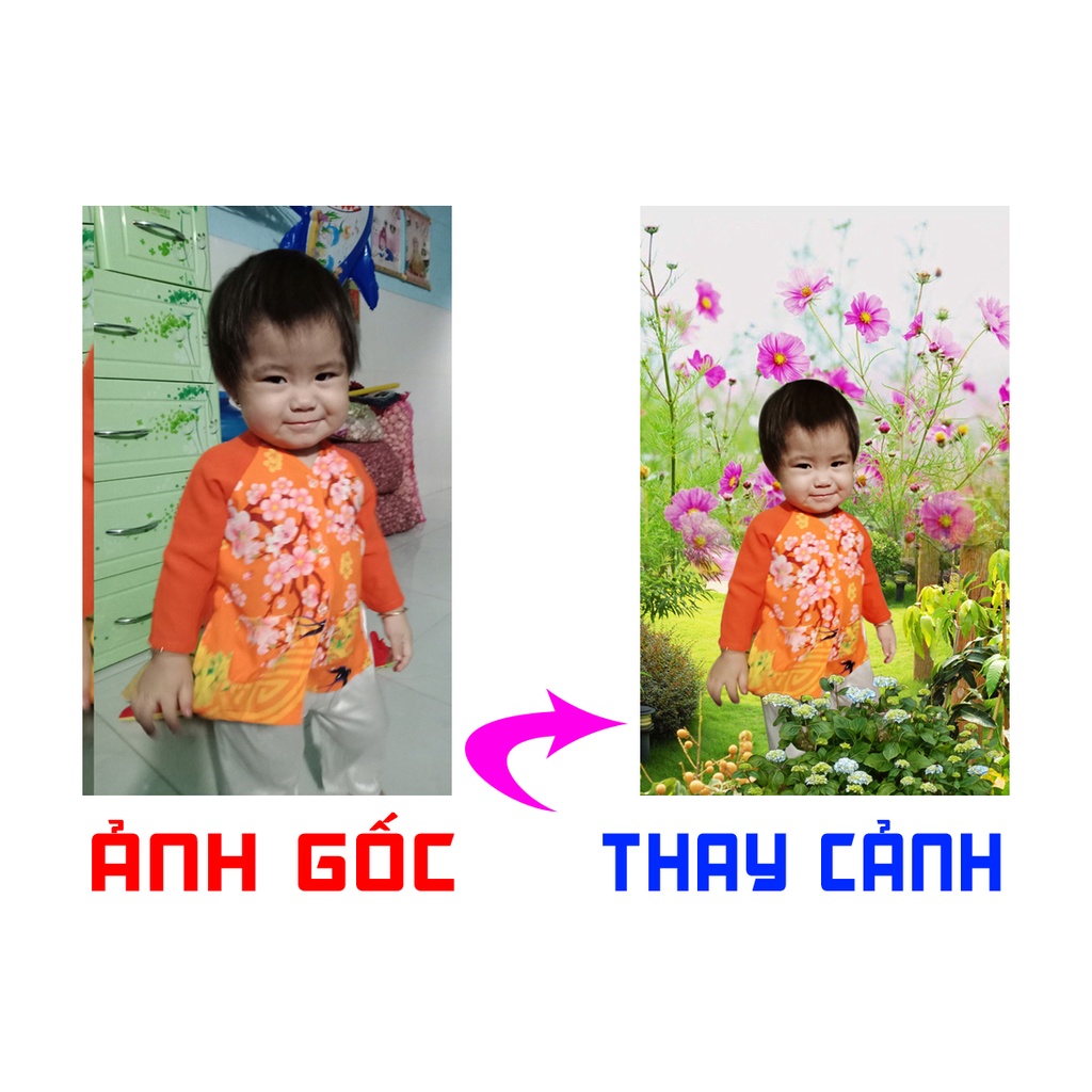 THAY NỀN - GHÉP CẢNH THEO YÊU CẦU (HÌNH CHỤP TỪ ĐIỆN THOẠI, HÌNH CŨ)