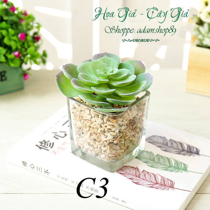 Cây giả - Chậu Sen đá Thủy Tinh Cao Cấp (cả cây và chậu)