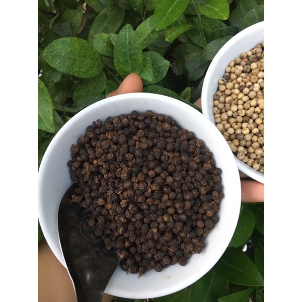 Tiêu hột sọ trắng, đen loại thượng hạng gói 100g Đắc lăk chuẩn