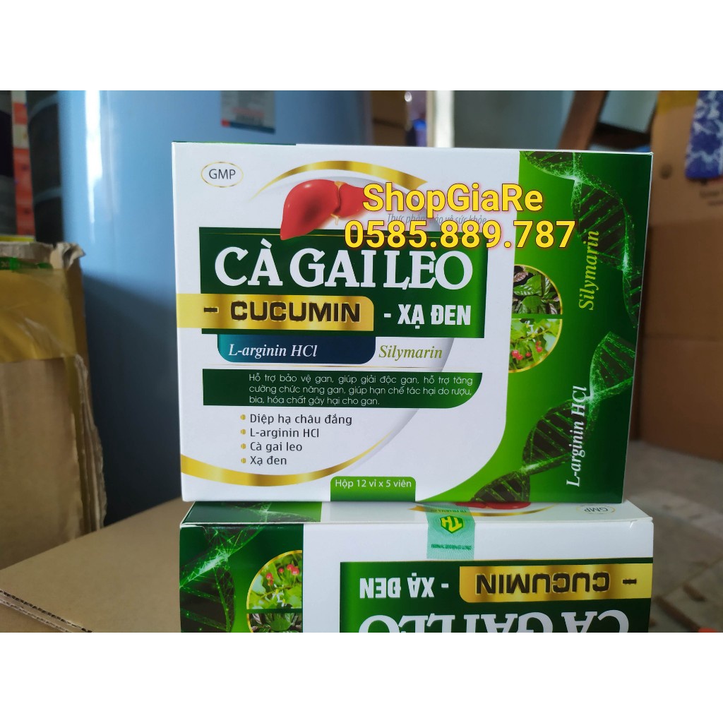 Bổ gan Cà gai leo Curcumin xạ đen giải độc gan, mát gan, hạ men gan, tăng cường chức năng gan