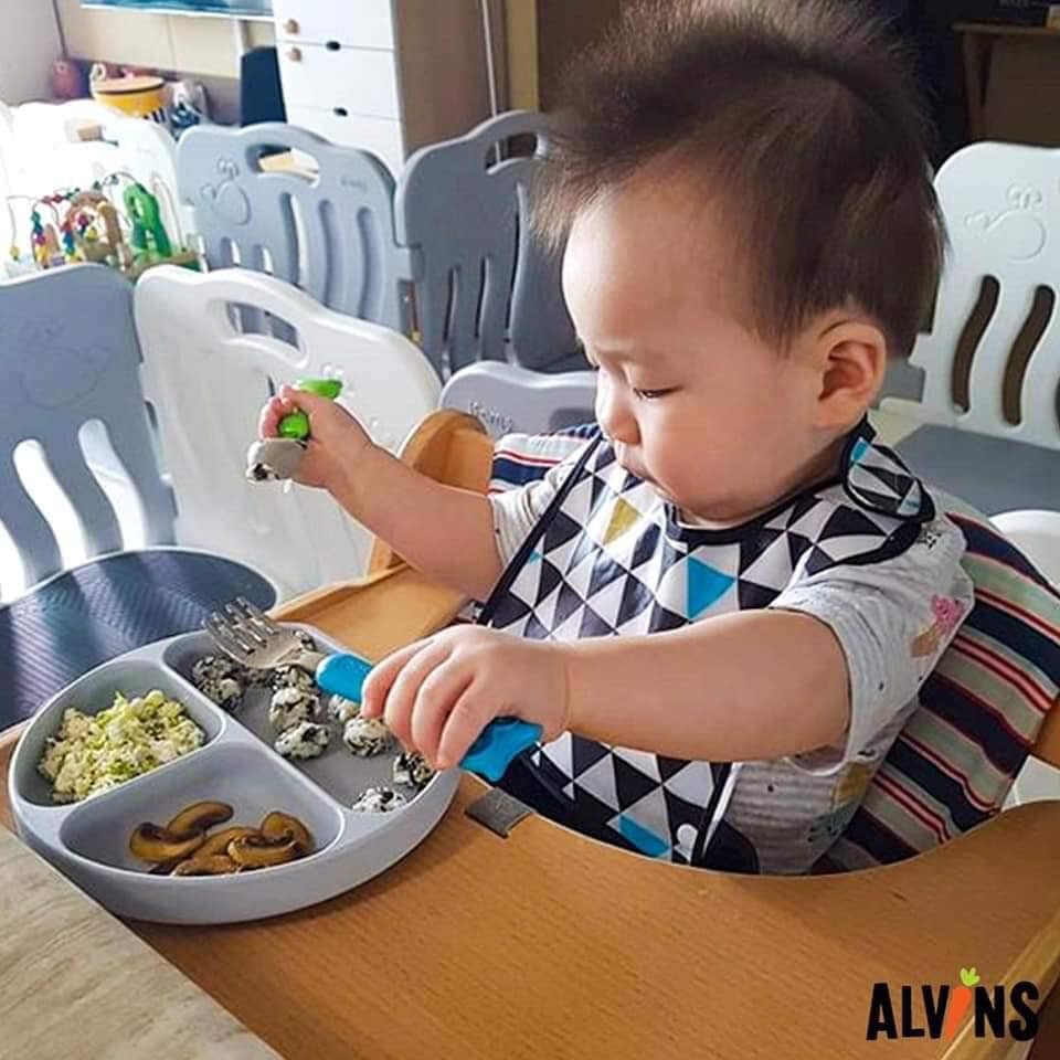 Rong biển hữu cơ tách muối cho bé Alvins 15g