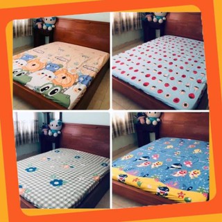 Ga chống thấm cotton cao cấp 1m6x2m/1m8x2m cao 10cm