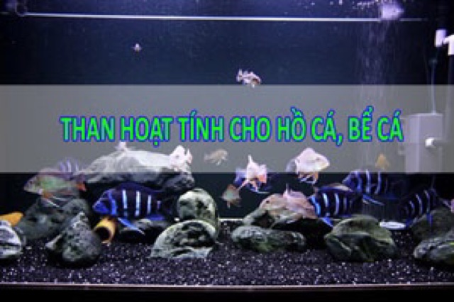 100gram Than Hoạt Tính Lọc Nước Bể Cá