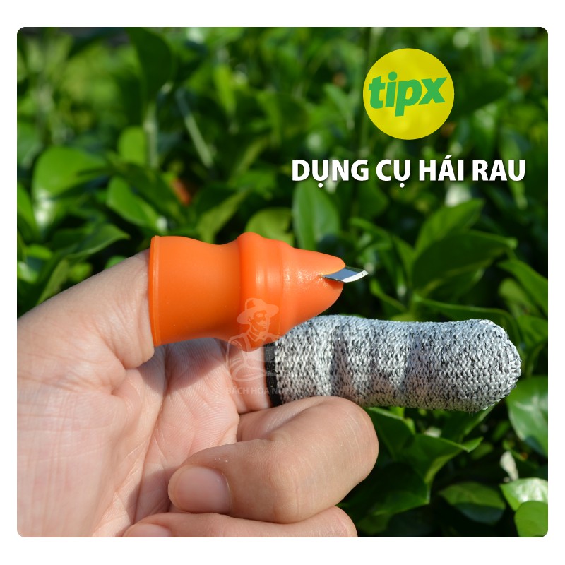 Dụng cụ hái rau, củ, quả tiện dụng bảo vệ ngón tay -Tipx