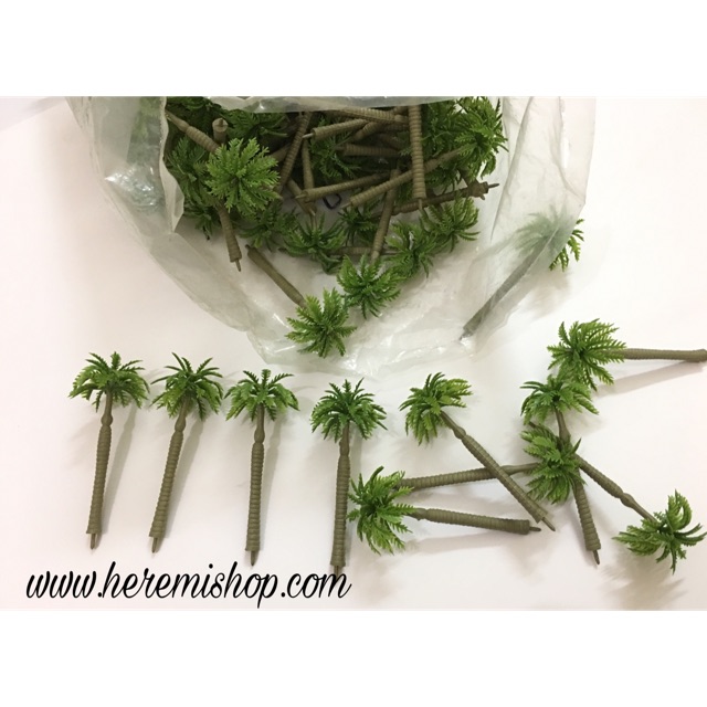 Cây dừa cảnh/ dừa mô hình