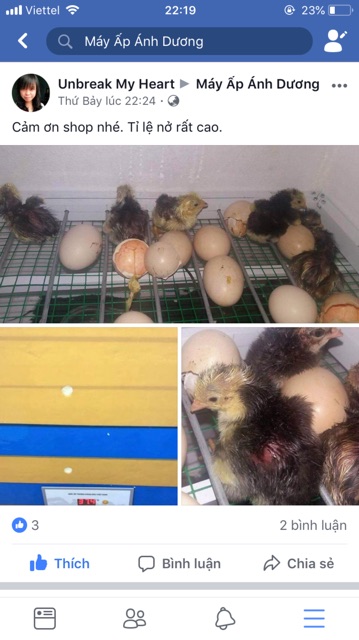 Máy Ấp Trứng Ánh Dương Tự Động 56 trứng bản khay nhôm đảo lăn lắp sẵn thùng xốp