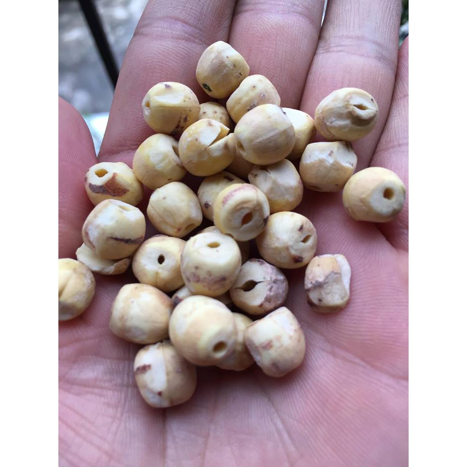 Hạt Sen Bắc Loại Đặc Biệt gói 300-500g Hút chân không
