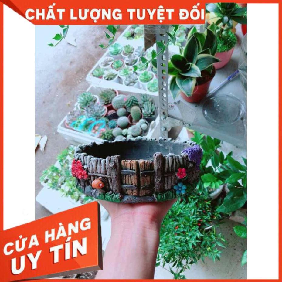 Chậu trồng cây Nhiều Người Mua