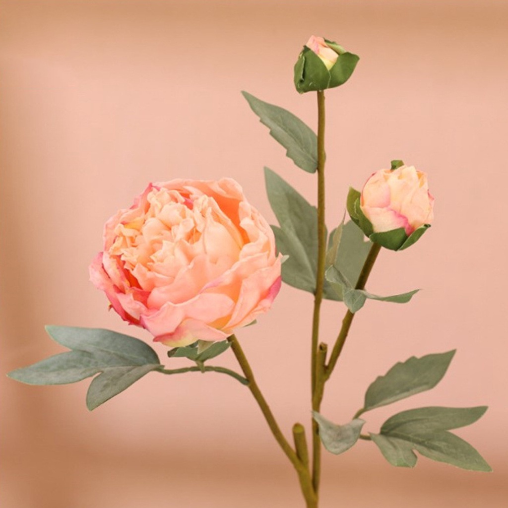 Hoa Mẫu Đơn Nhân Tạo 3 Đầu Trang Trí Bàn