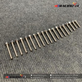 Bộ ốc lốc máy salaya inox304 cho wave a 2017-2020, wave rsx, wave s110 ...