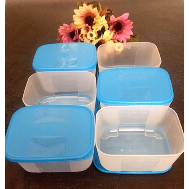 Bộ trữ đông thực phẩm Tupperware 650ml ( 6 hộp)