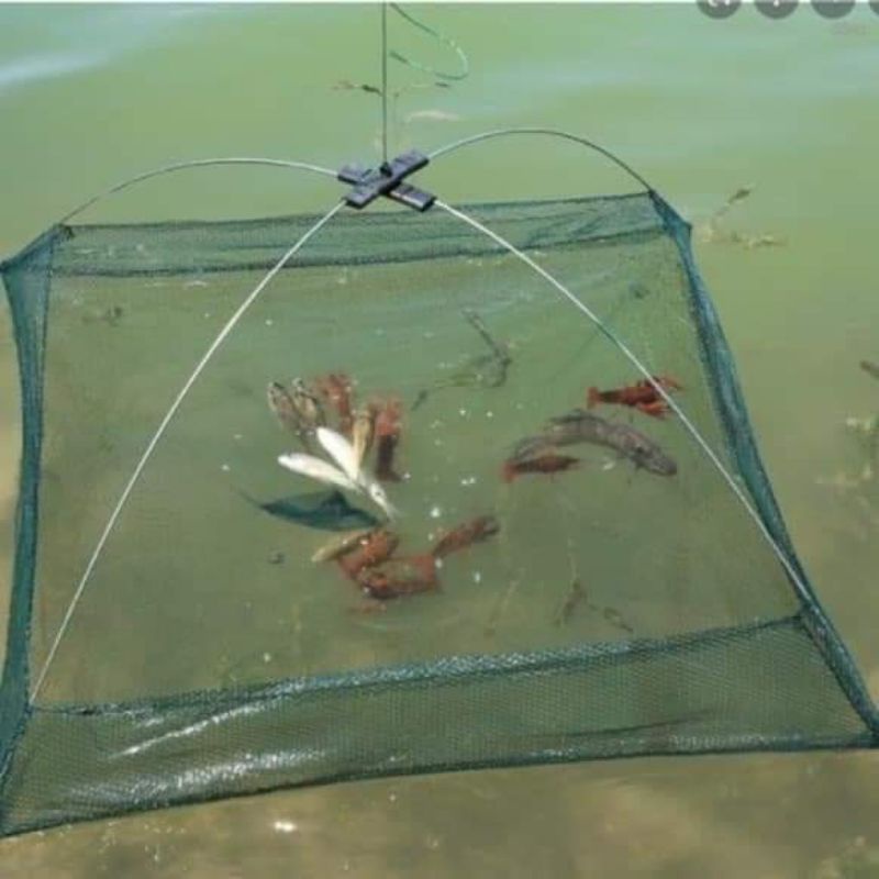 Vó bắt tôm, tép, cá....gấp gọn