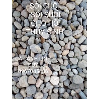 Sỏi cuội, sỏi suối dùng để trang trí hồ thủy sinh