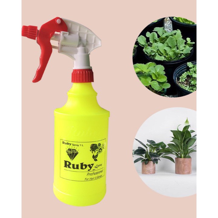 Bình xịt trồng cây