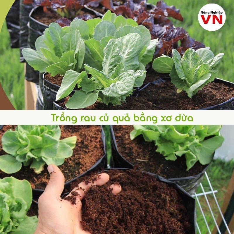 Đất nén hữu cơ mụn sơ dừa bánh lớn đã xử lý dùng trồng rau củ quả, hoa cảnh