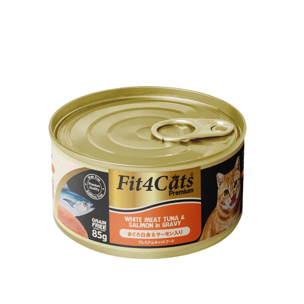 85gr - Pate cho mèo Fit4Cat Premium cao cấp - Cá ngừ trắng đóng hộp cho mèo thịt xé thơm ngon đủ vị Fit 4 Cat Doggyman